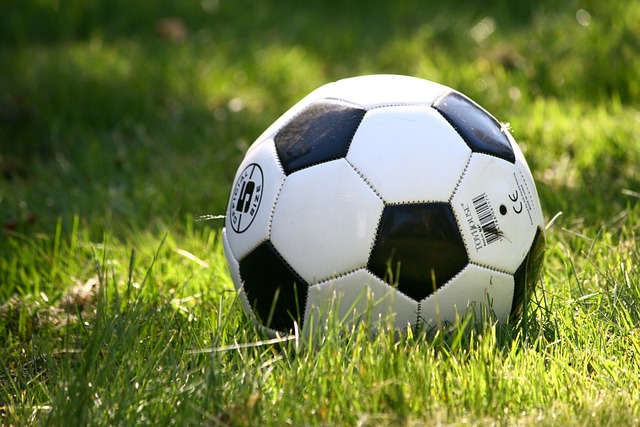 futbalová lopta